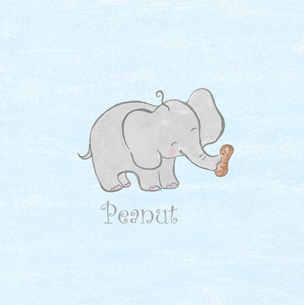 Little Acorn S11W30 Peanut Canvas Nursery Wall Decor
