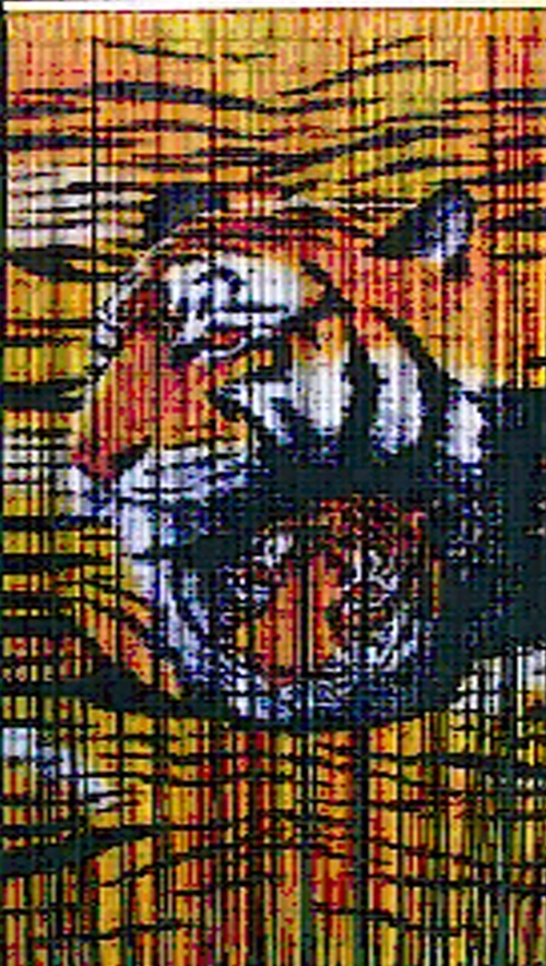 5258 Tigers Curtain - Natural Bamboo