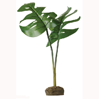 RC Hagen PT2978 Exo Terra Phyllo Plant