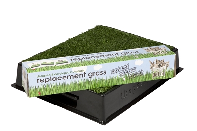 Pup Pee Solutions-the Pet Loo Pu00005 20 In. X 17 In. Kitty Kat Grass