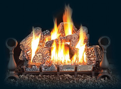 Napolean Fireplaces GVFL24N 24 in. Vent Free Gas Log Set