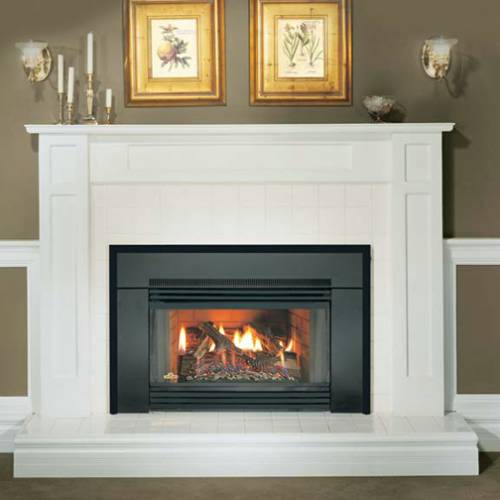 Napolean Fireplaces GI3600N Gas Fireplace Insert