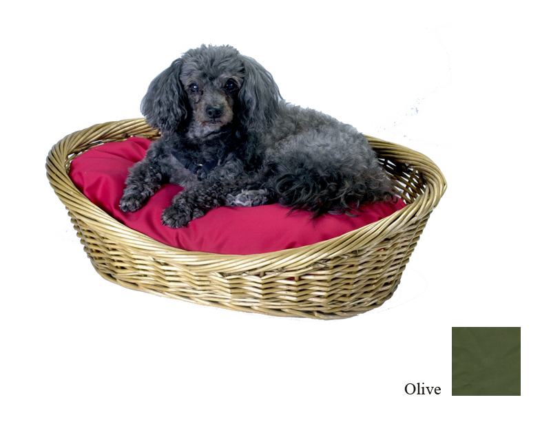 Odonnell Industries 56008 4 Wicker Basket 18 in. x 27 in. with Pillow Olive