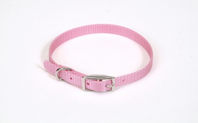 Coastal Pet Products Co00830 10 In. Nylon Web Collar - Neon Pink