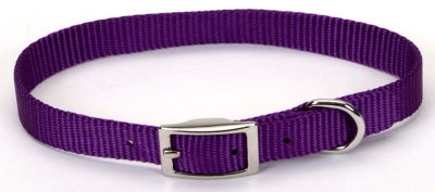 Coastal Pet Products Co00855 12 In. Nylon Web Collar - Purple