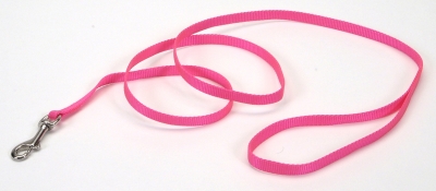 Coastal Pet Products Co00990 6 Ft. Web Training Lead - Neon Pink