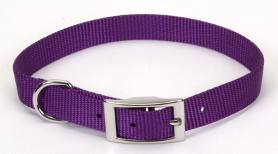 Coastal Pet Products Co03455 .63 In. Nylon Web Collar - Purple