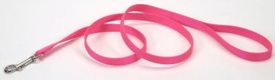 Coastal Pet Products Co03530 .63 In. Nylon Web Lead - Neon Pink