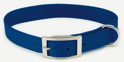 Coastal Pet Products Co04342 .75 In. Nylon Web Collar - Blue