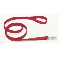 Coastal Pet Products Co04401 .75 In. Nylon Web Lead - Red