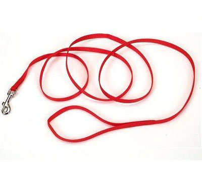Coastal Pet Products Co04421 .75 In. Nylon Web Lead - Red