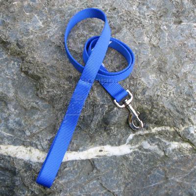 Coastal Pet Products Co06002 Heavyweight 1 In. Lead - Blue