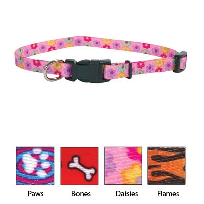 Coastal Pet Products Co06628 .31 In. Lil Pals Nylon Adjustable Collar