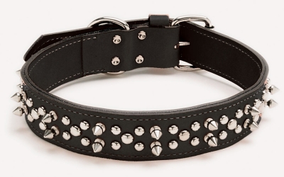 Coastal Pet Products Co11180 1.5 In. Double Spiked Leather Collar 2 22 In. , 24 In. , 26 In. , 28 In.