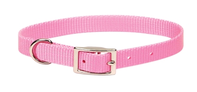 Coastal Pet Products Co40135 401 .63 In. Nylon Web Collar - Bright Pink 12 In.