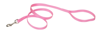 Coastal Pet Products Co40603 406 .63 In. Nylon Web Lead - Bright Pink 6 Ft.