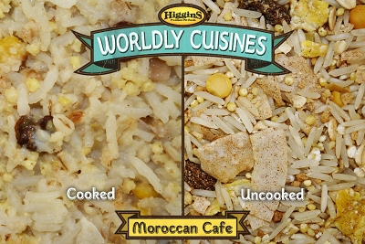 Hs32203 13 Oz Wordly Cuisines Morrocan Cafe