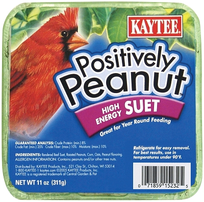 Kaytee Products Kt15232 11 Oz Peanut Suet