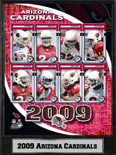 Encore Select 510FBAZ2009 2009 Arizona Cardinals 9x12 Plaque