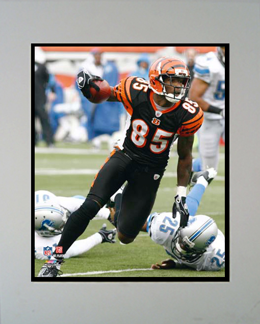 Encore Select M2FBCIN85 Cincinnati Bengals Chad Ochocinco 11X14 Matted Photo