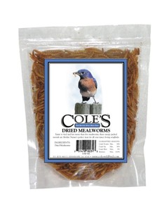 Colesgcdmlg Dried Mealworms Large