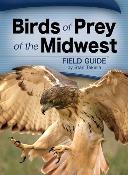 Adventure Publications Ap32475 Birds Prey Of Midwest