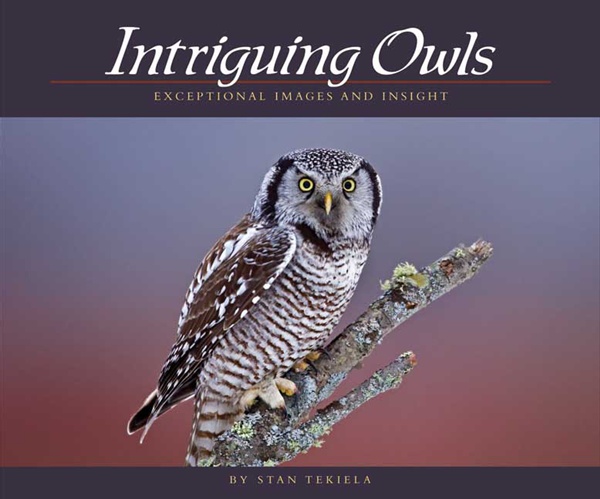 Adventure Publications Ap30624 Intriguing Owls
