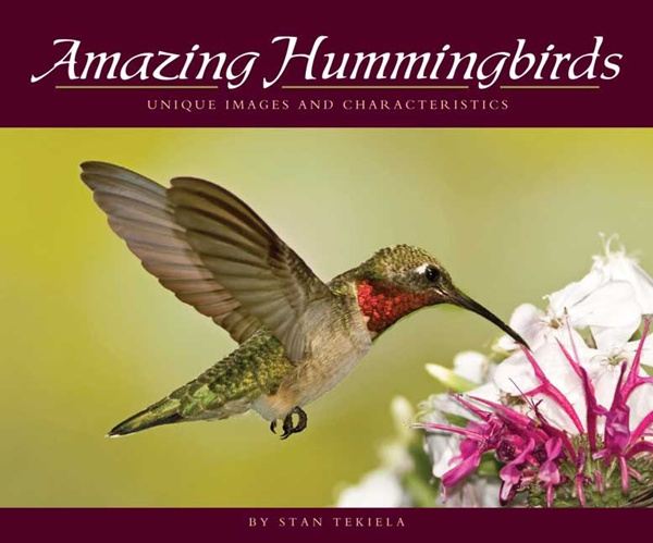 Adventure Publications Ap32468 Amazing Hummingbirds