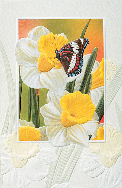 Pumpernickel Press PUMP80263 White Admiral Butterfly Bday
