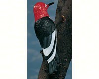 6003 Woodpecker Tree Ornament