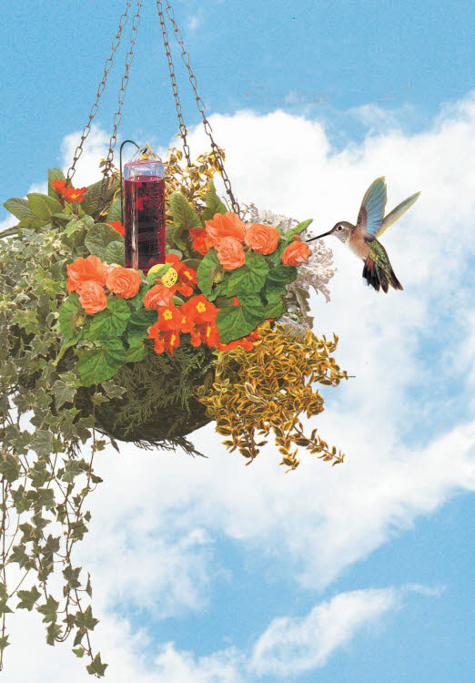 Pp215 Hummingbird Basket Planter Feeder