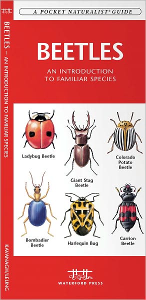 Wfp1583556399 Beetles