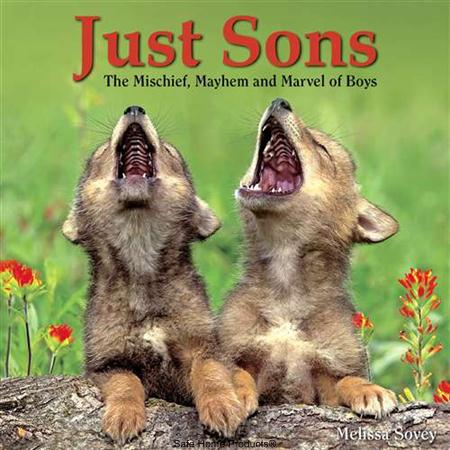 Willow Creek Press WC9781607554523 Just Sons