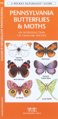 Wfp1583554623 Pennsylvania Butterflies & Moths