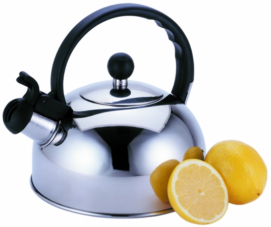 Epoca Inc 2.5 Liter Stainless Steel Whistling Tea Kettle PTK6525