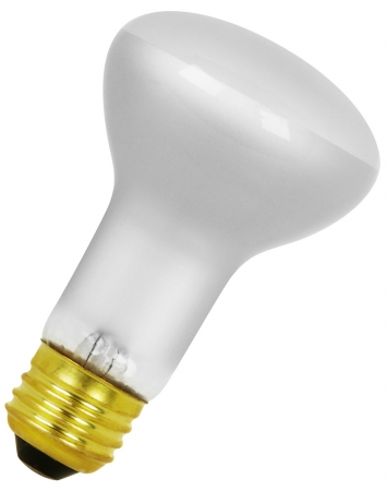 30 Watt Track Reflector Flood Light Bulb 30r20