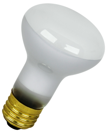 45 Watt Track Reflector Flood Light Bulb 45r20