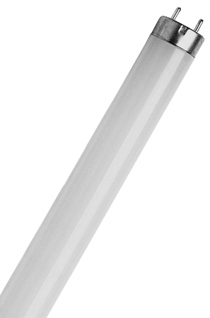 15 Watt Cool White T8 Fluorescent Tube Light Bulb F15t8-cw