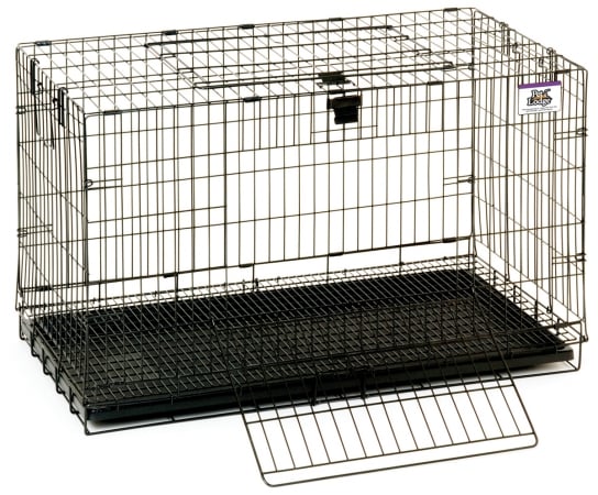 Popup Rabbit Cages 150910