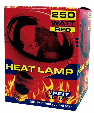 250 Watt Red Heat Lamps 250r40-10 - Pack Of 12