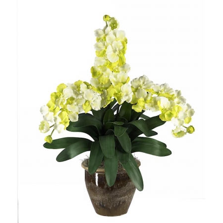 Shopzeus USA zeusd1CALA4269945 Triple Stem Vanda Orchid