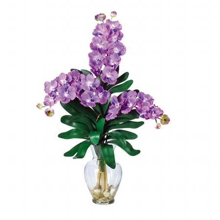 Shopzeus USA zeusd1CALA4270164 Triple Vanda Orchid Liquid Illusion
