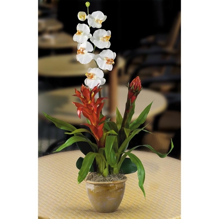 Shopzeus USA zeusd1CALA4270315 Double BromeliadOrchid Combo Silk Orchid Arrangem