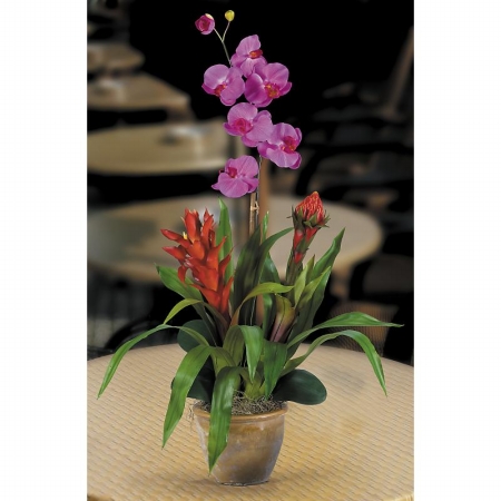 Shopzeus USA zeusd1CALA4270316 Double BromeliadOrchid Combo Silk Orchid Arrangem