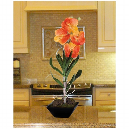 Shopzeus USA zeusd1CALA4269975 Vanda With Black Vase