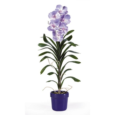 Shopzeus USA zeusd1CALA4269967 Vanda With Blue Pot Silk Arrangement