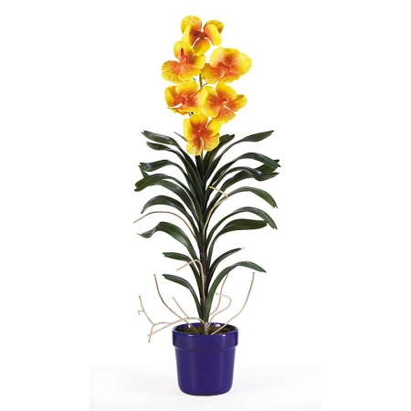 Shopzeus USA zeusd1CALA4269969 Vanda With Blue Pot Silk Arrangement
