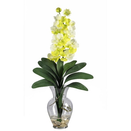Shopzeus USA zeusd1CALA4270154 Single Stem Vanda Orchid Liquid Illusion