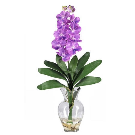 Shopzeus USA zeusd1CALA4270152 Single Stem Vanda Orchid Liquid Illusion