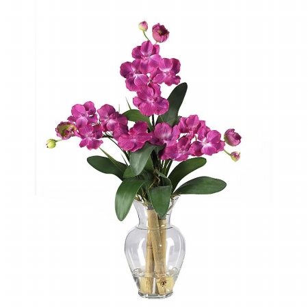 Shopzeus USA zeusd1CALA4270158 Triple Mini Vanda Orchid Liquid Illusion